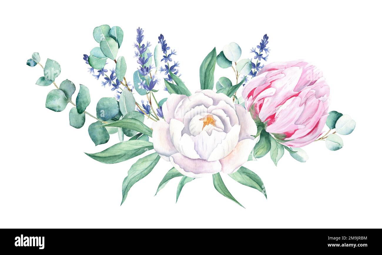 Aquarell, weiße und pinkfarbene Pfingstrosen, Lavendel, Eukalyptus. Handgemalte Abbildung isoliert auf weißem Hintergrund. Kann für Grußkarten verwendet werden Stockfoto