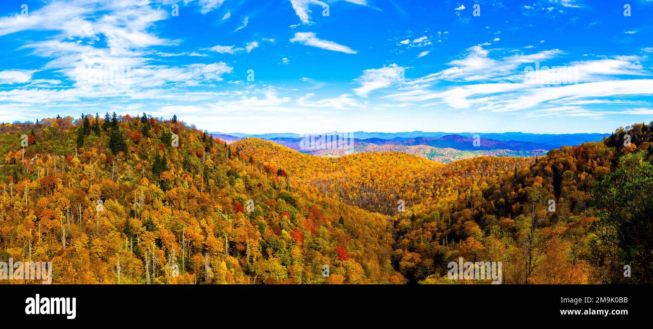 Berge und Wälder im Herbst, Smoky Mountains, Blue Ridge Parkway, North Carolina, USA Stockfoto