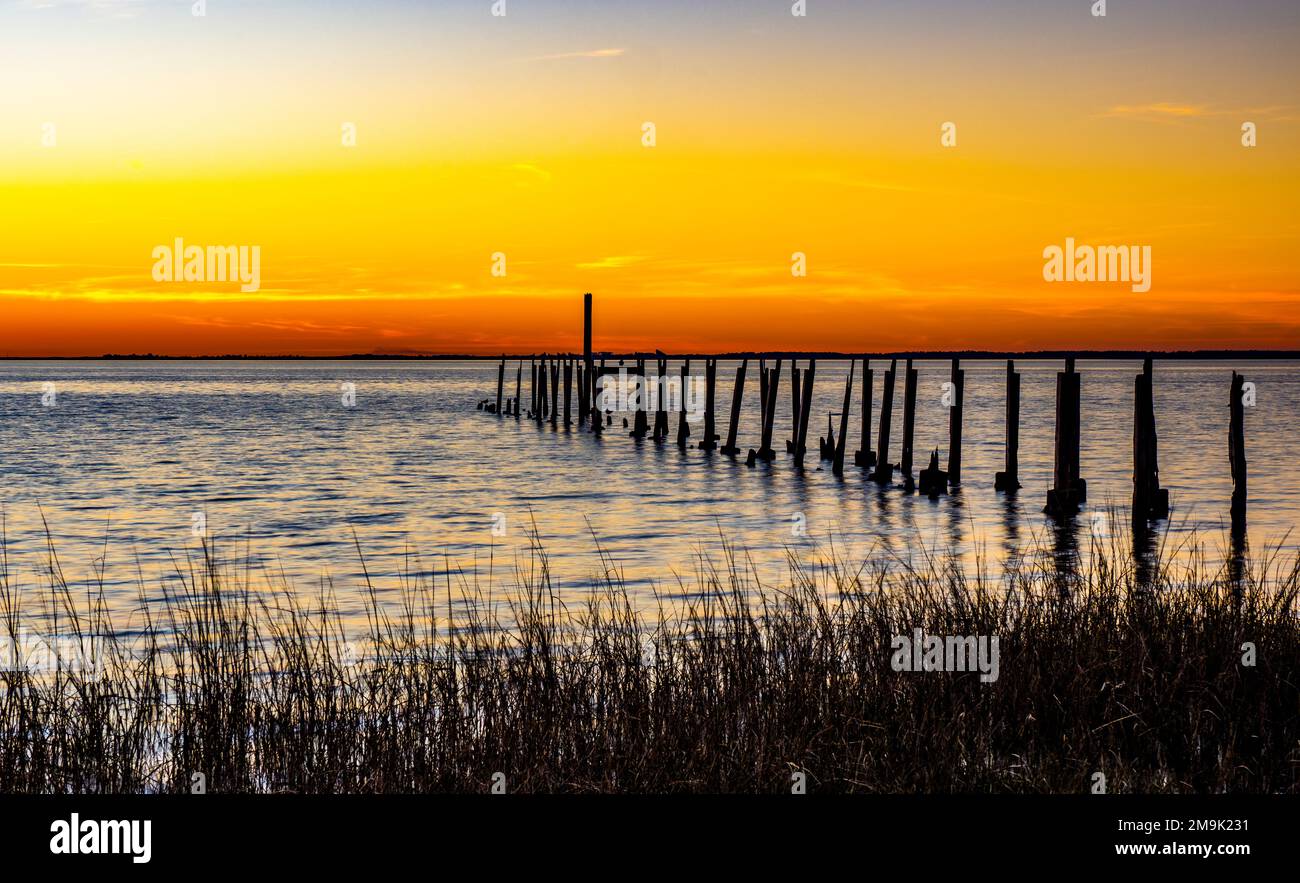 Sonnenuntergang über dem Golf von Mexiko in St. Marks National Wildlife Refuge, Florida, USA Stockfoto