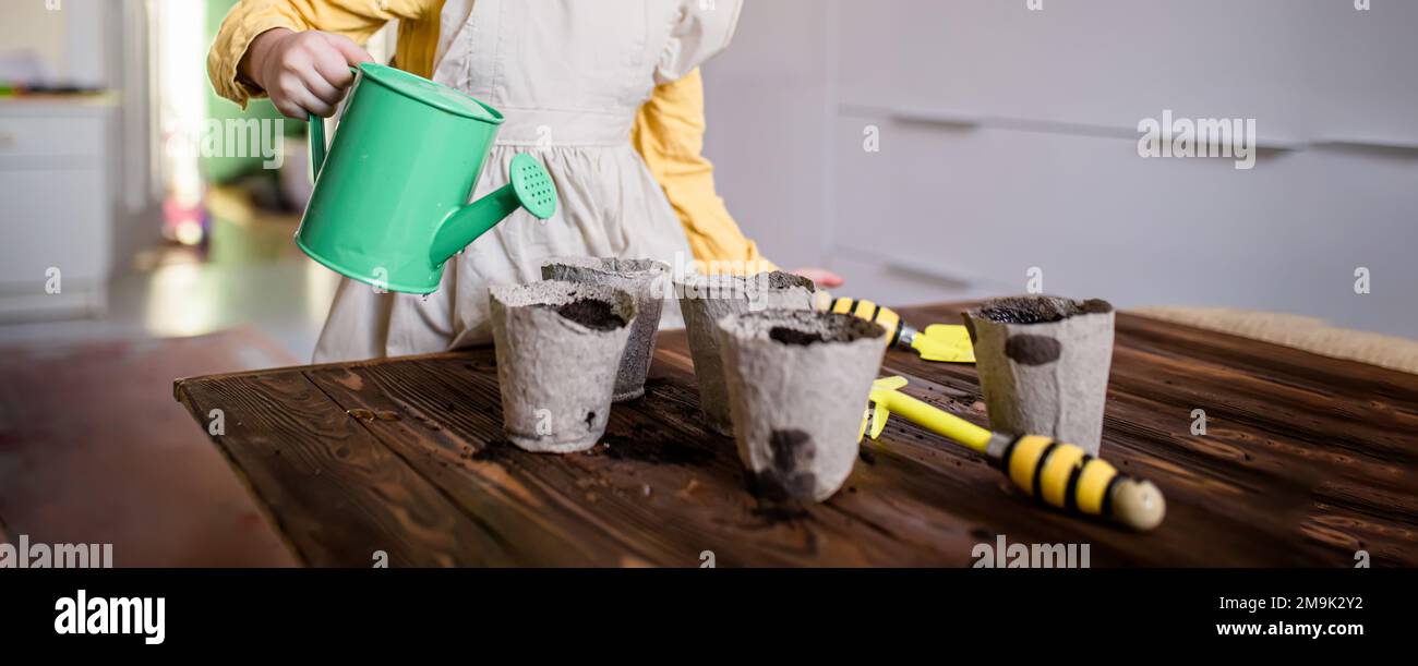 Wintervorbereitung für die Aussaat. Ein Mädchen gießt die Samen in Töpfen auf einem Holztisch mit gesäten Samen. Setzlinge für den Garten anbauen. Vegeta Stockfoto