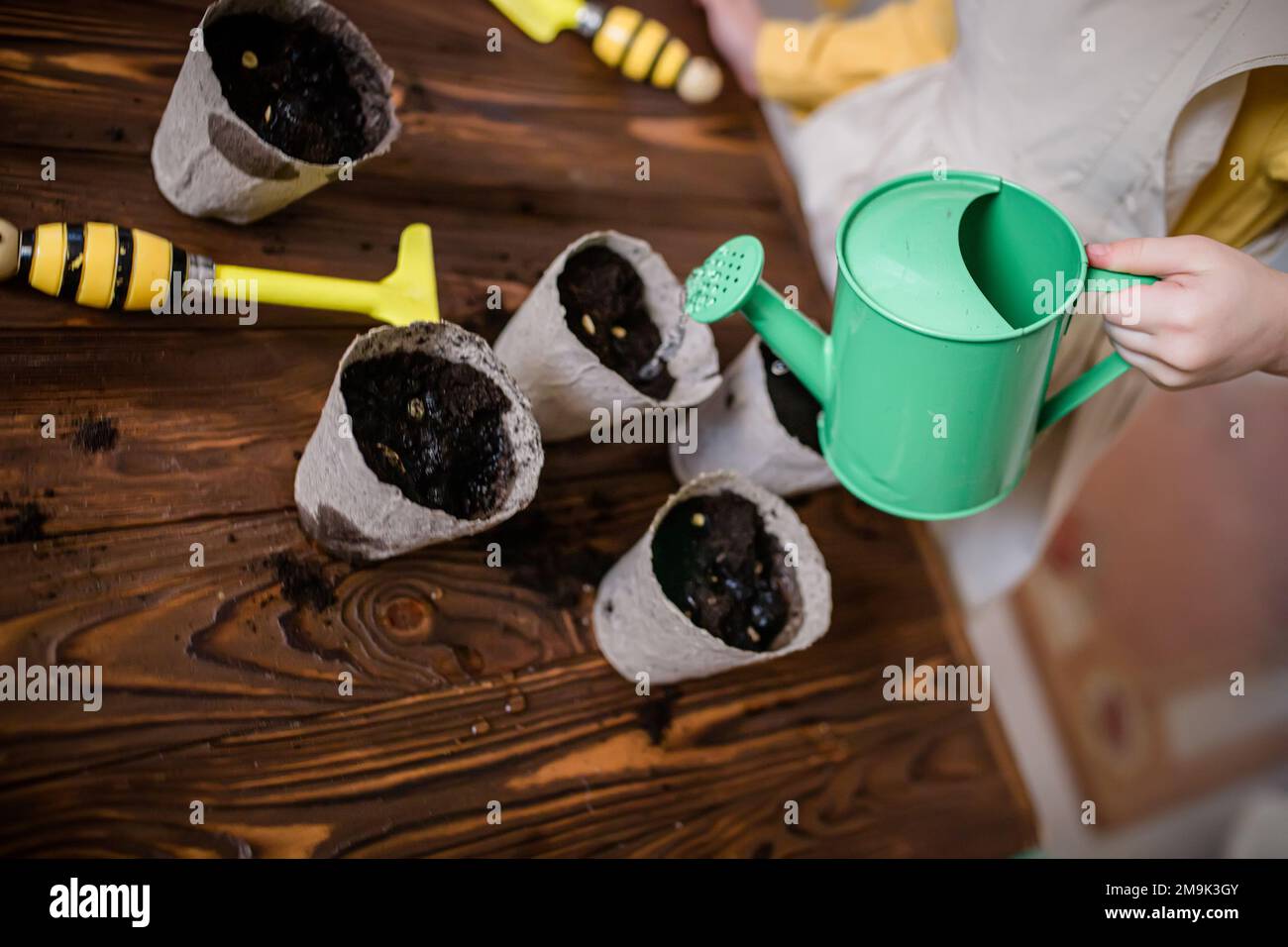 Wintervorbereitung für die Aussaat. Ein Mädchen gießt die Samen in Töpfen auf einem Holztisch mit gesäten Samen. Setzlinge für den Garten anbauen. Vegeta Stockfoto
