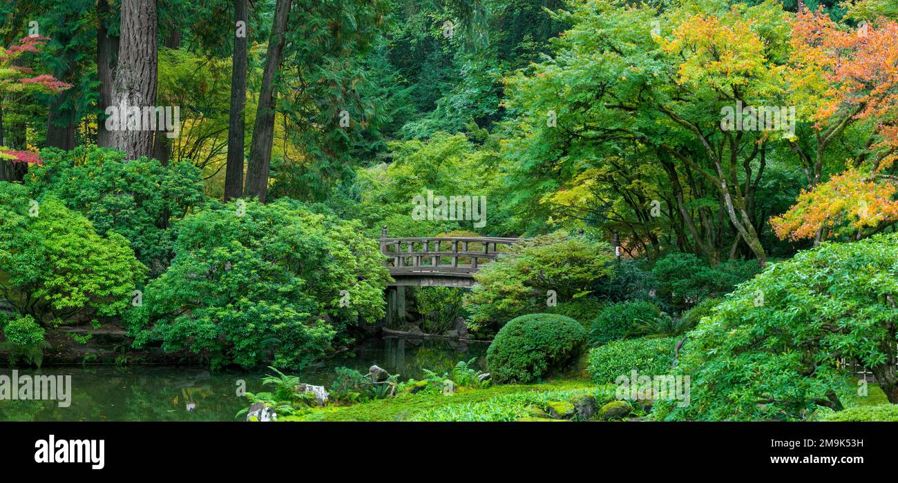 Fußgängerbrücke und grüne Pflanzen, Portland Japanese Garden, Portland, Oregon, USA Stockfoto