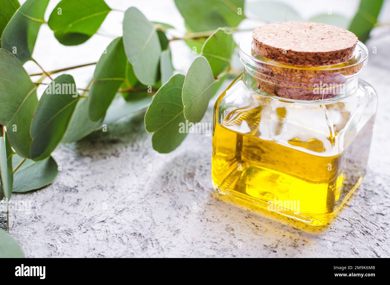 Eukalyptus ätherische Öle in Glasflasche. Oganic Kräuter Aromatherapie Konzept. Stockfoto
