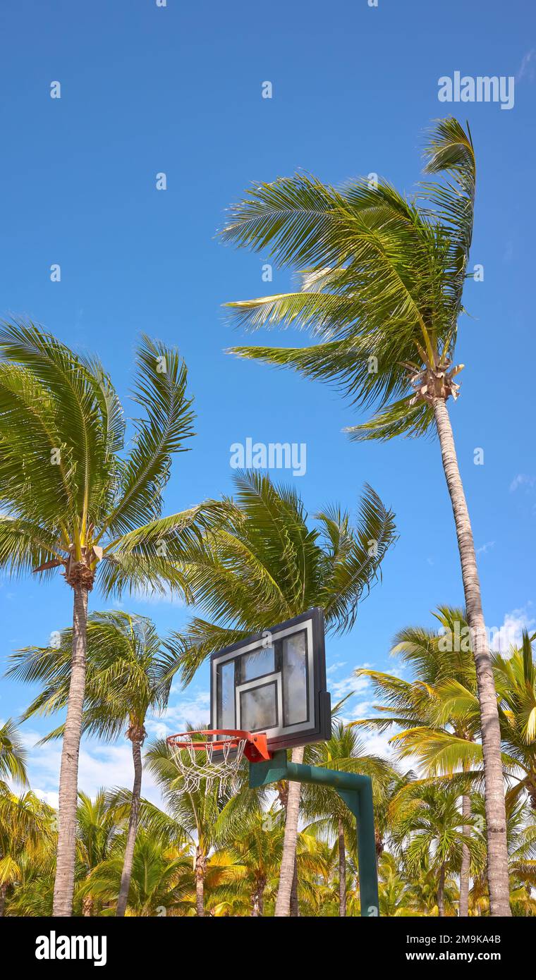 Basketballring und Backboard mit Kokospalmen im Hintergrund. Stockfoto