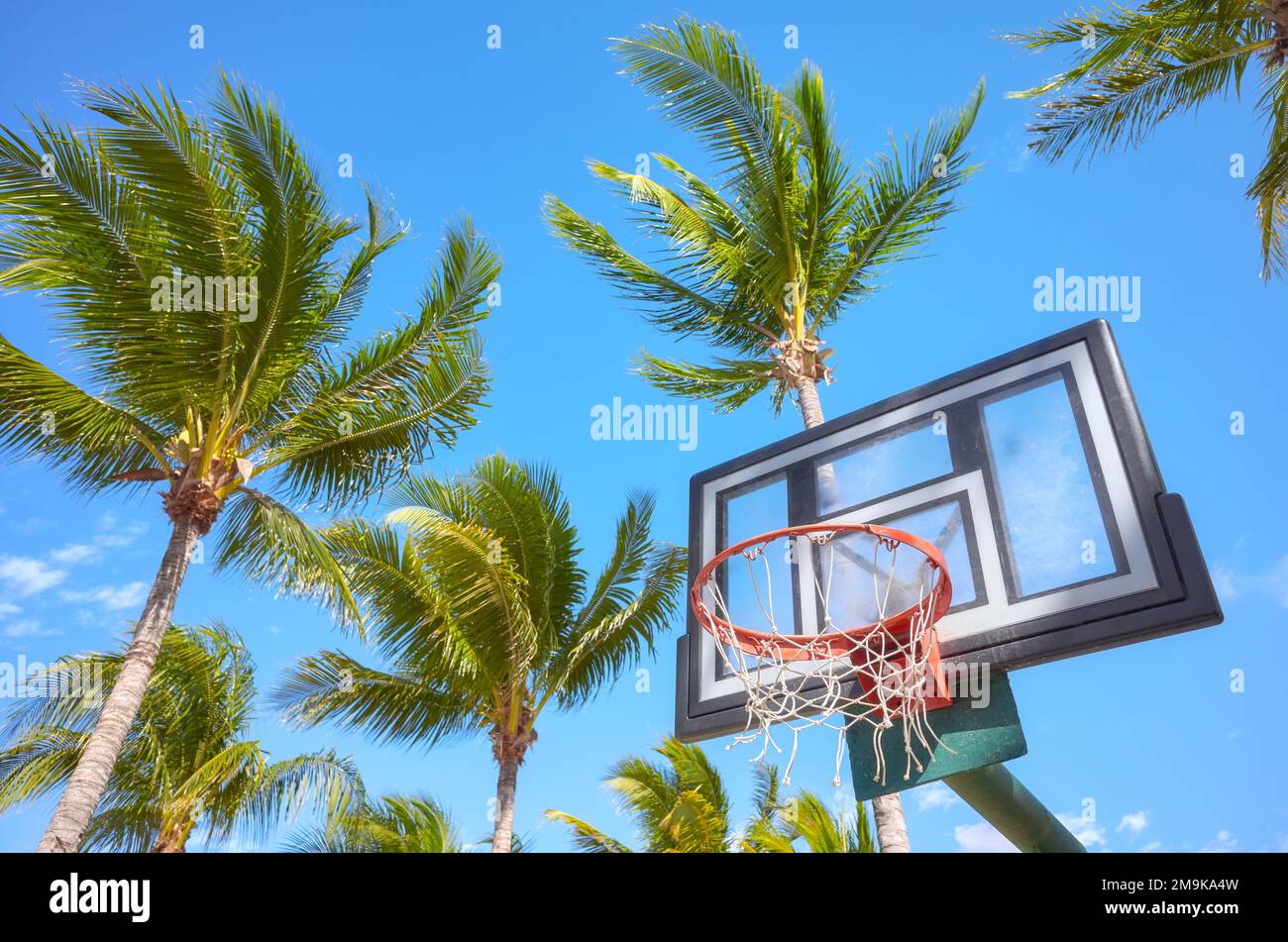 Basketballring und Backboard mit Kokospalmen im Hintergrund, selektiver Fokus. Stockfoto