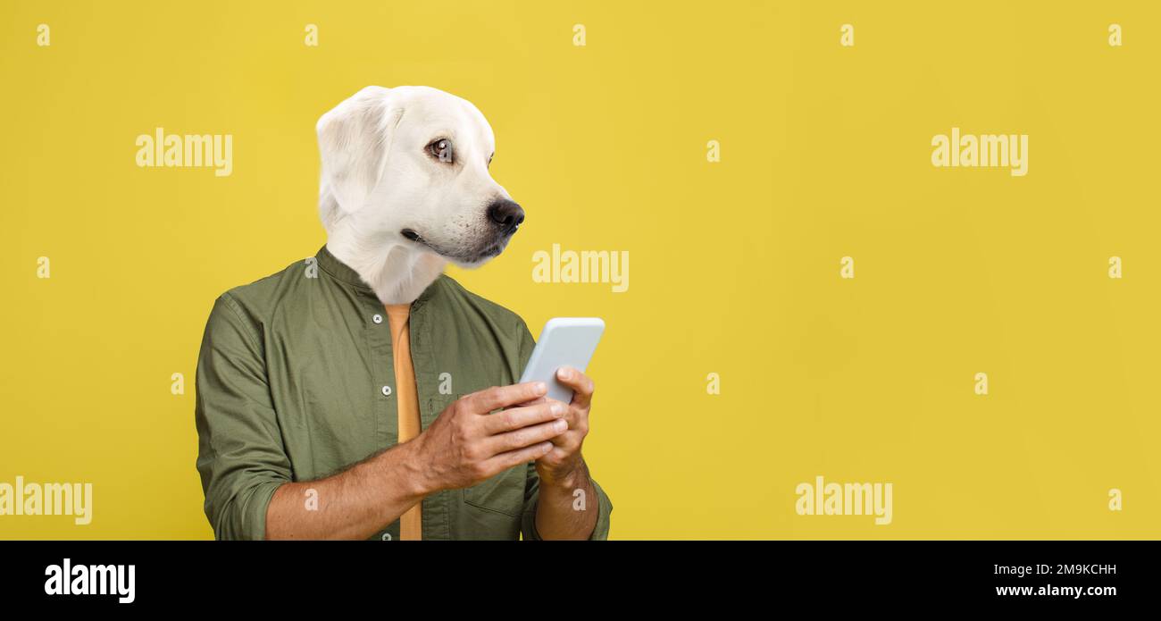 Mann mit Hundekopf, der auf Smartphone-Bildschirm schaut, Kopierraum Stockfoto