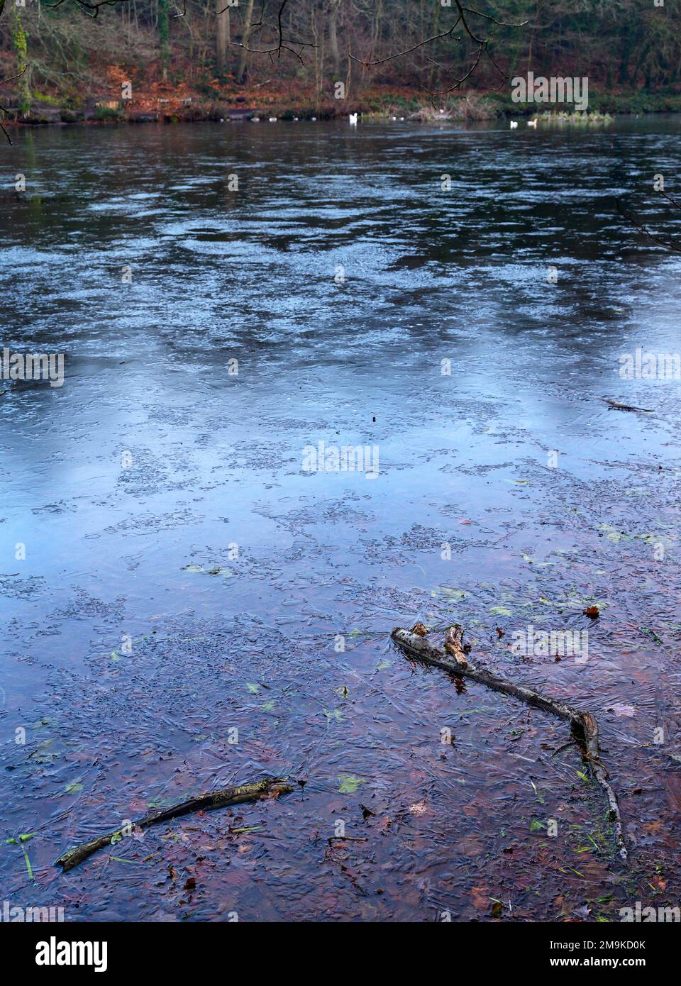 Einer der Keston-Teiche am Keston Common in der Nähe des Dorfes Keston in Kent, Großbritannien. Eine kalte Winterszene mit Eis auf der Oberfläche des Teichs. Stockfoto