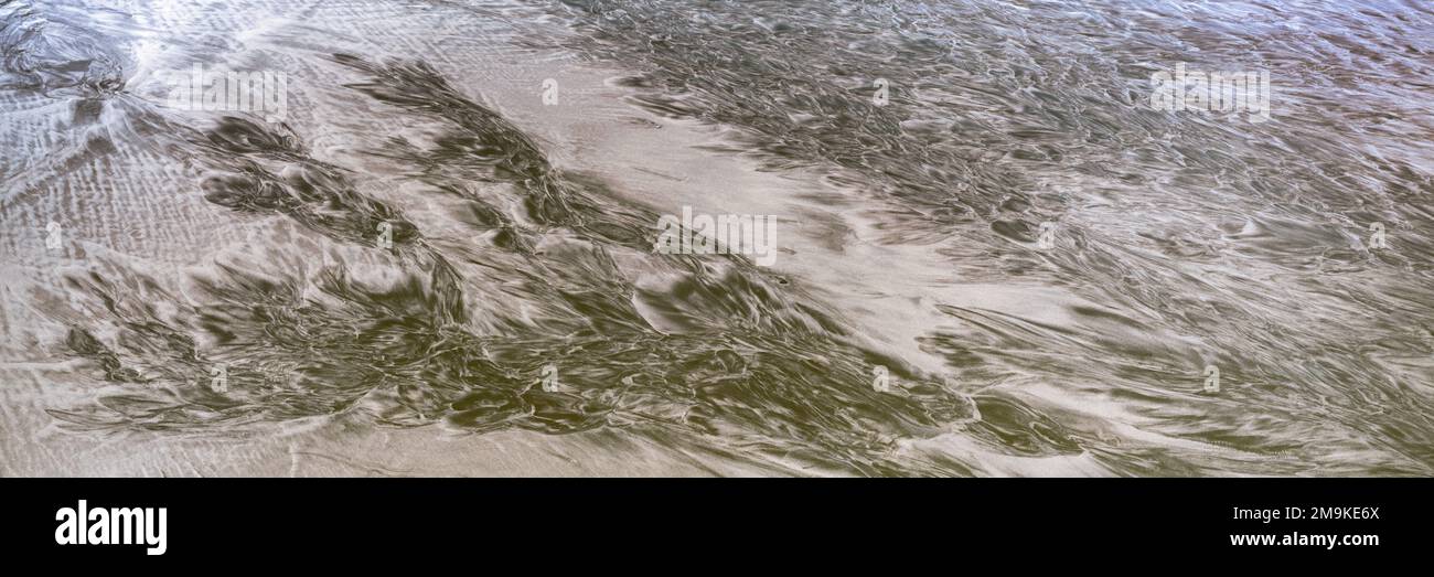 Surf Sand Muster, Scripps Coastal Reserve Area, La Jolla, Kalifornien, USA Stockfoto