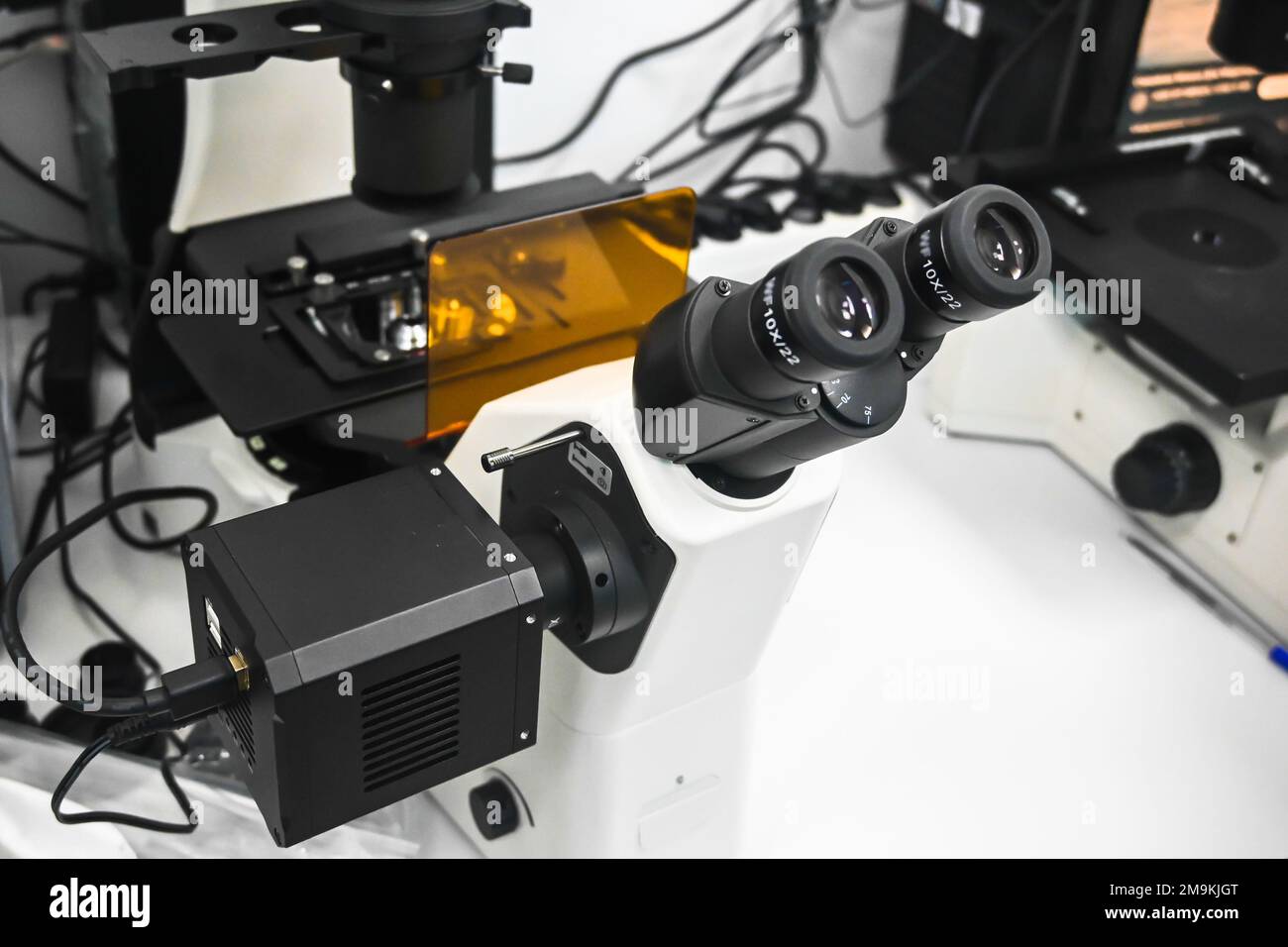 Labormikroskop. Ein Mikroskop in einem biologischen Labor. Stockfoto