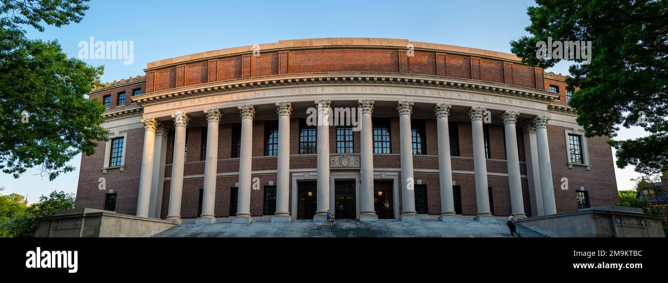 Widener Library an der Harvard University, Cambridge, Massachusetts, USA Stockfoto