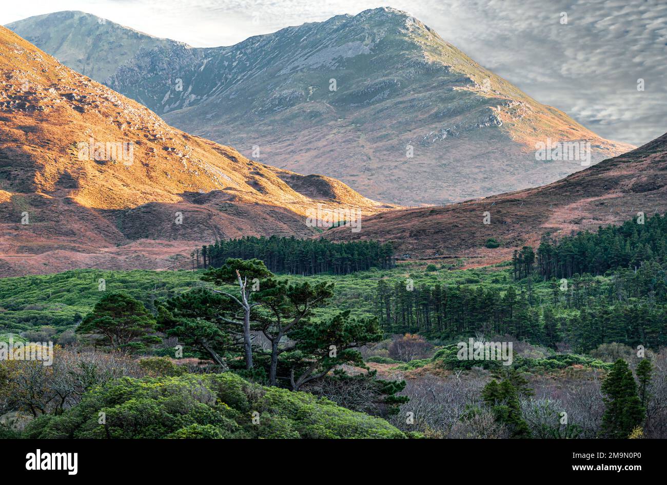 Wunderschöne Berge in Connemara, County Galway, Irland Stockfoto