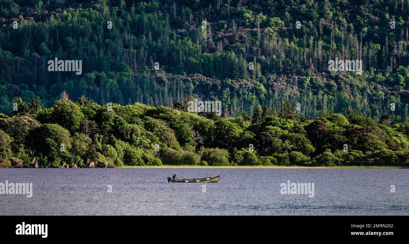 Ein einsamer Fischer, der in einem Lough Leane von einem Boot im Killarney National Park, Ring of Kerry, in der Nähe der Stadt Killarney, County Kerry, Irland angeln will Stockfoto