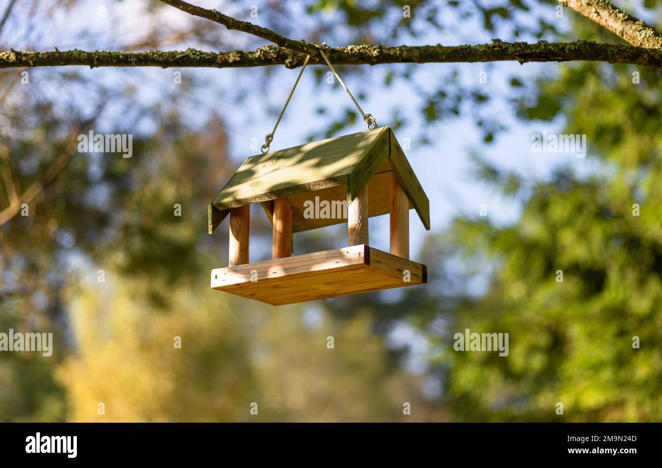 Vogelhaus auf einem Ast im Wald Stockfoto
