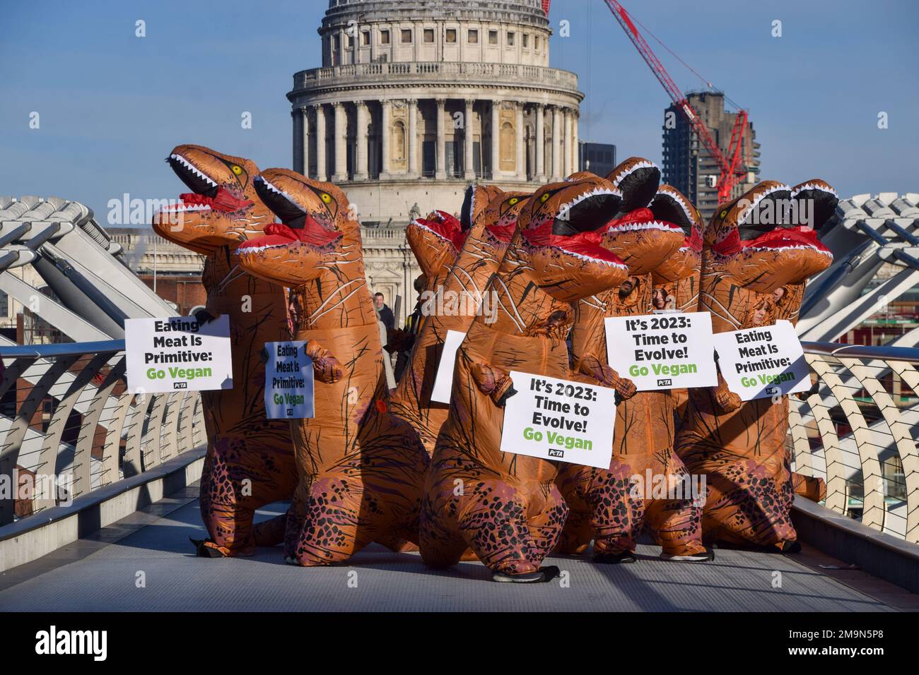 London, Großbritannien. 18. Januar 2023. PETA-Aktivisten (People for the Ethical Treatment of Animals) in Dinosaurierkostümen halten während der Demonstration auf der Millennium Bridge Plakate mit der Aufschrift „Fleisch essen ist primitiv“ und „Es ist 2023, Zeit zur Evolution“. Die Demonstration war Teil der Kampagne von PETA, um die Menschen dazu zu ermutigen, Veganer zu werden. Kredit: SOPA Images Limited/Alamy Live News Stockfoto