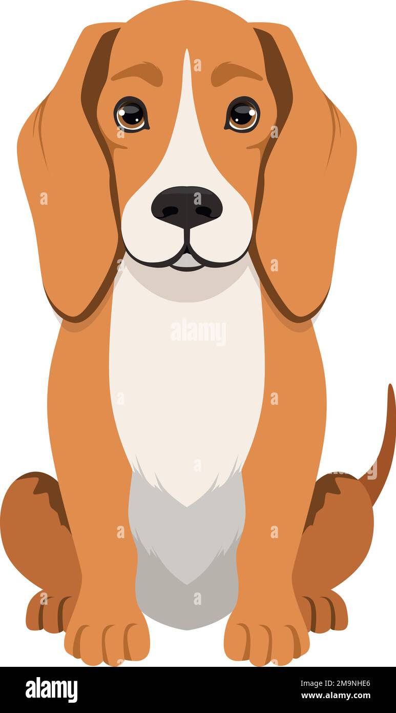 Hundesitten. Zeichentrickhund. Freundliches Beagle-Haustier Stock Vektor