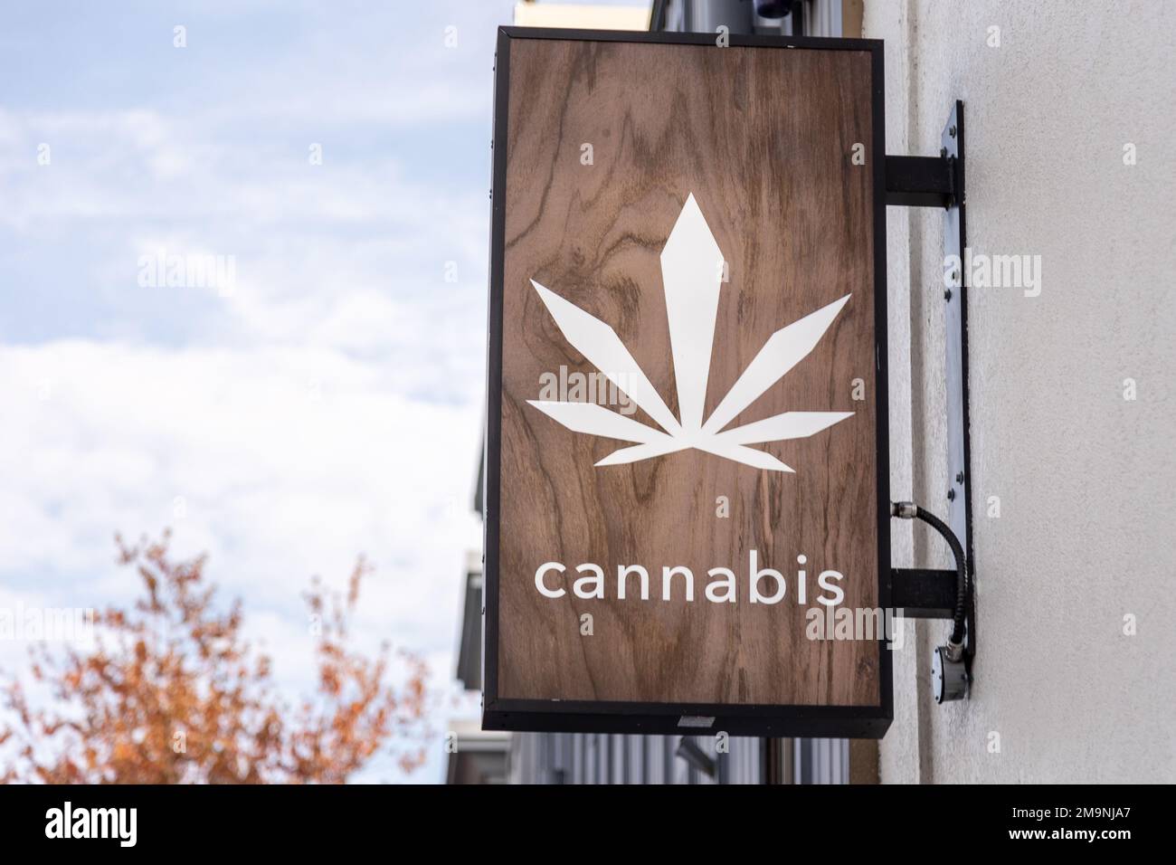 Cannabis-Dispensary-Schild, Marihuana-Blatt, Logo, legales Marihuana, Geschäft. Stockfoto