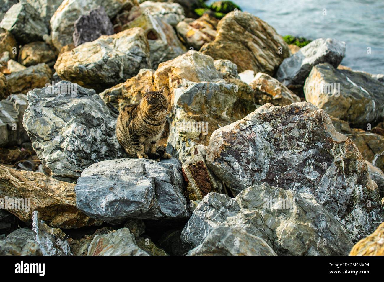 Süßer abstrakter Hintergrund Stockfoto