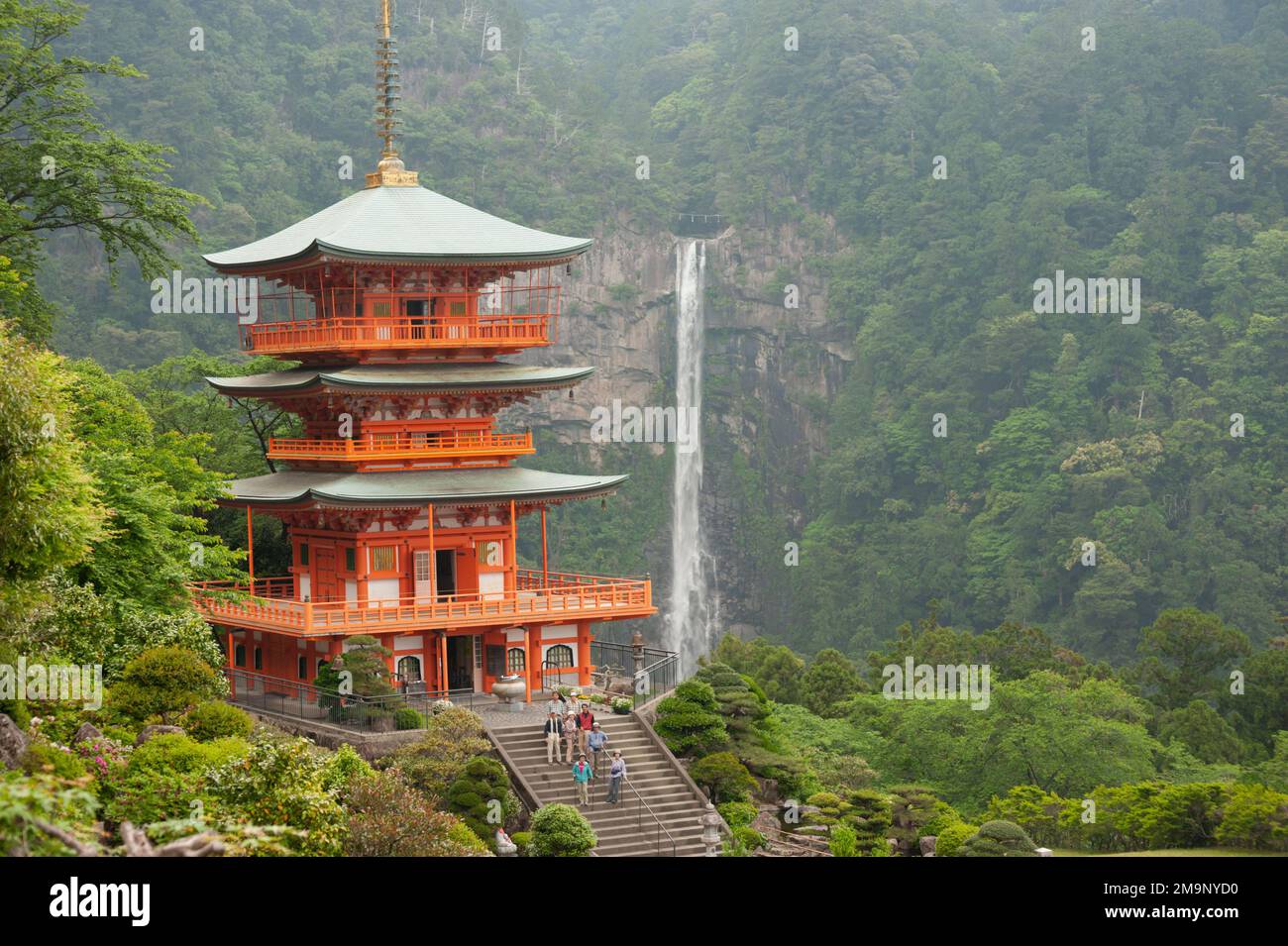 Sanjūdō-Pagode, oder dreistöckige Pagode, am Kumano Nachi Taisha-Schrein, mit den Nachi-Fällen im Hintergrund. Stockfoto