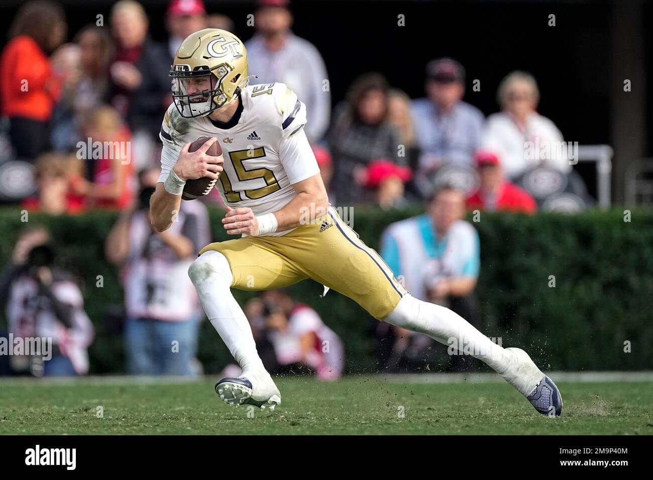 Georgia Tech quarterback Zach Gibson (15) runs against Georgia during the first half of an NCAA college football game Saturday, Nov. 26, 2022 in Athens, Ga. (AP Photo/John Bazemore) Stockfoto