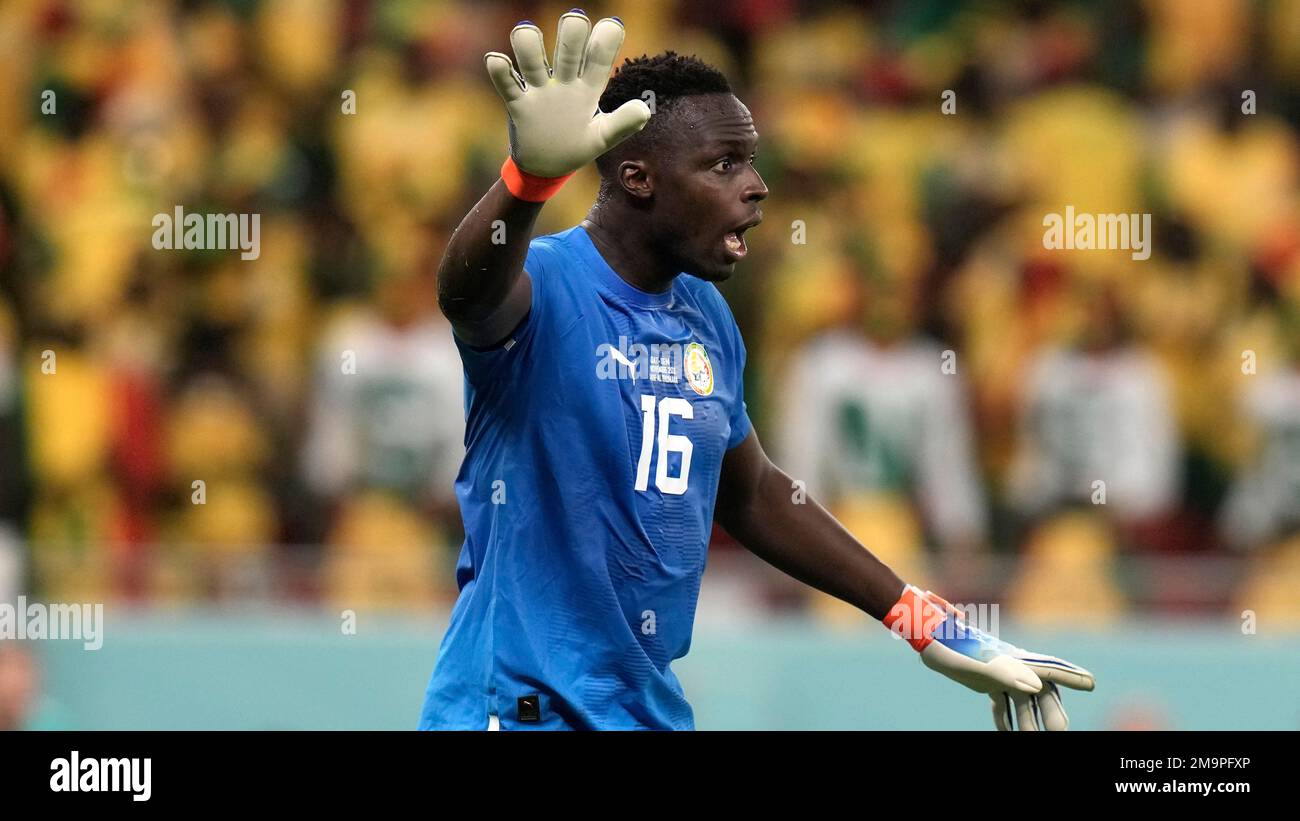 Senegal's goalkeeper Edouard Mendy in action during the World Cup group A soccer match between Qatar and Senegal at the Al Thumama Stadium in Doha, Qatar, Friday, Nov. 25, 2022. (AP Photo/Hassan Ammar) Stockfoto