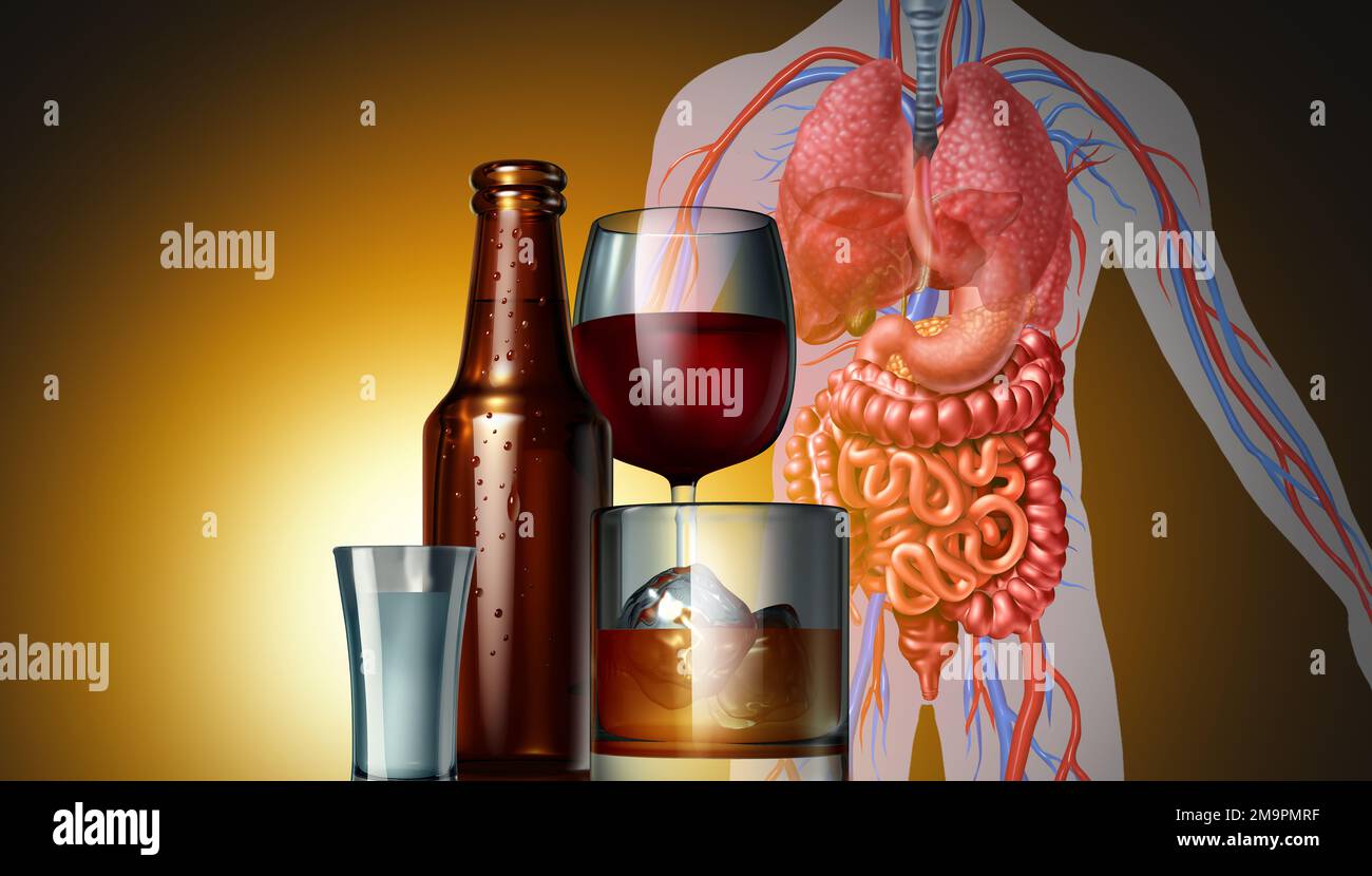 Trinken Gesundheitsgefährdung Konzept wie Bier Wein und Spirituosen alkoholische Gläser und Flasche als medizinisches Risiko für den menschlichen Körper als Krebs oder gefährliche Gesundheit Stockfoto