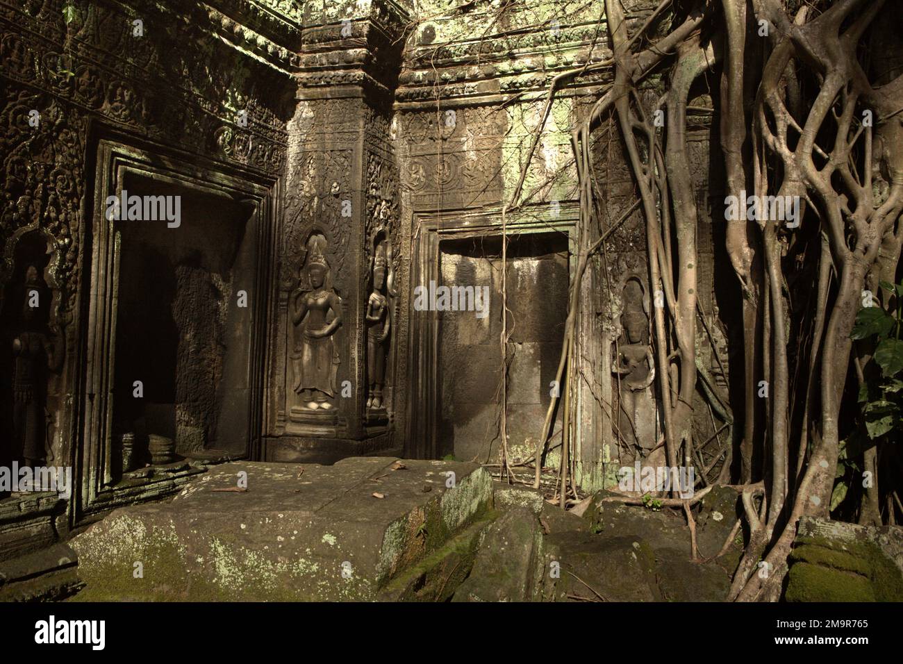 Eine Ecke von Ta Prohm, ein verlassenes antikes Kloster und Tempel in Siem Reap, Kambodscha. Stockfoto