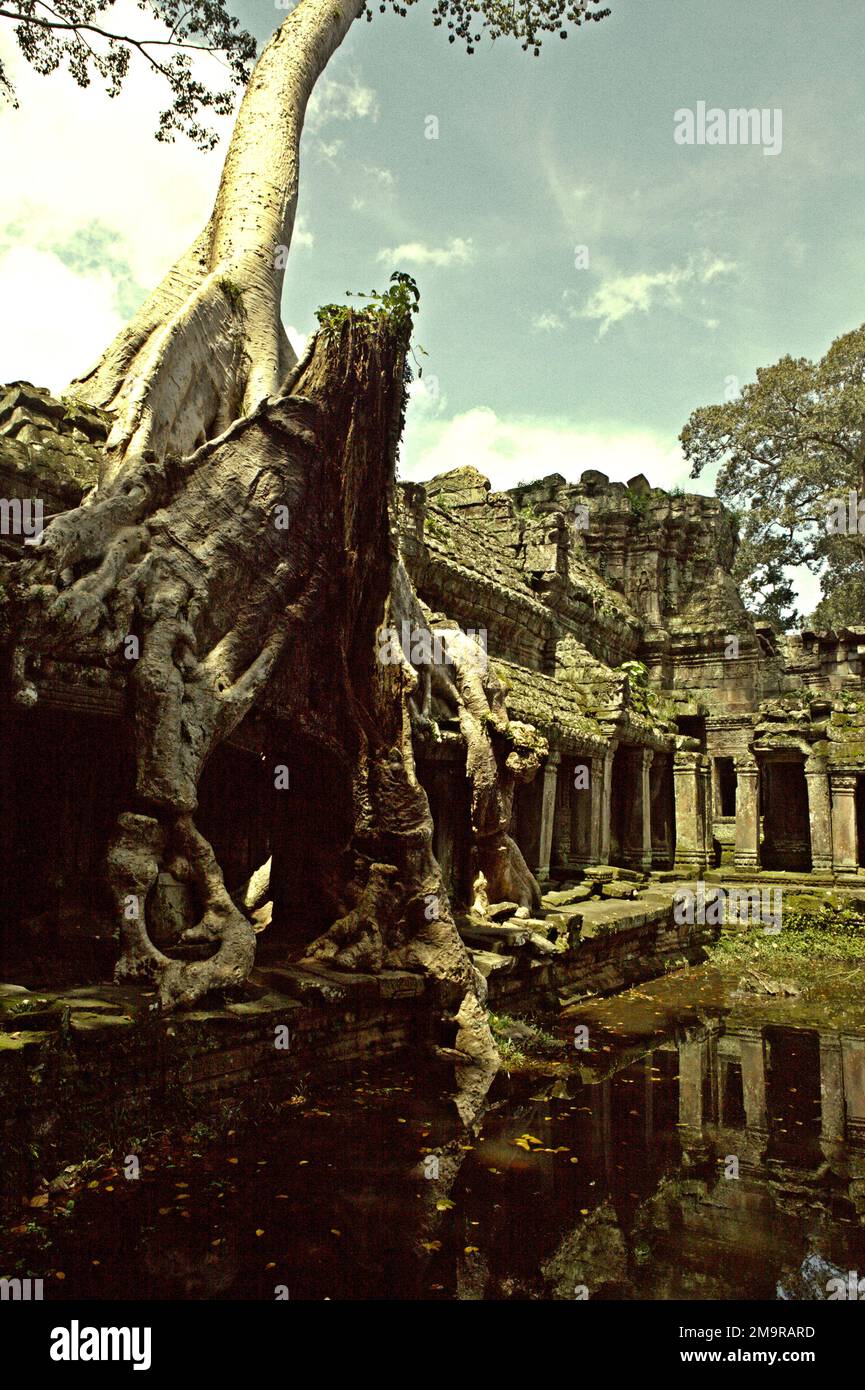 Die Ruinen des Preah-Khan-Tempels in Siem Reap, Kambodscha, erstrecken sich über Bäume. Stockfoto