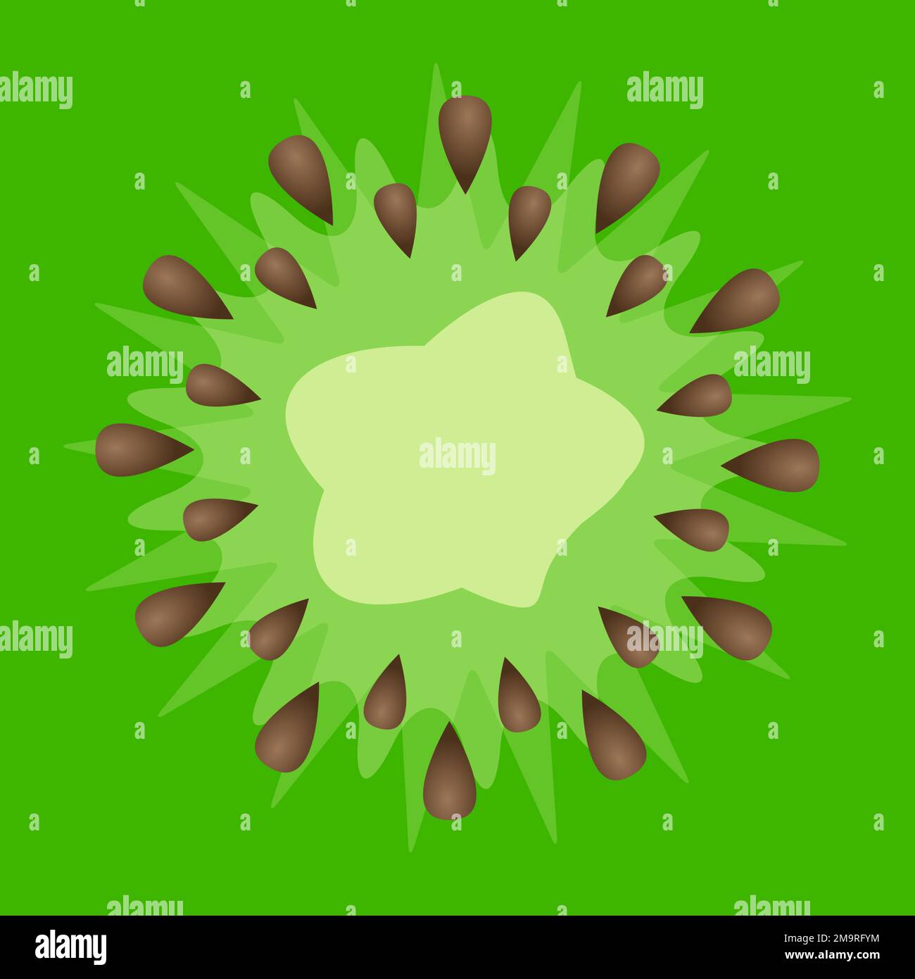 Grüne Kiwis-Textur mit Hintergrund des Seeds-Vektors. Stock Vektor