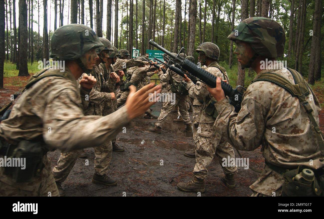 030923-F-6655M-007. Basis: USMC Recruit Depot, Parris Island State: South Carolina (SC) Country: United States of America (USA) Scene Major Command gezeigt: Eastern Marine Corps Recruiting Stockfoto