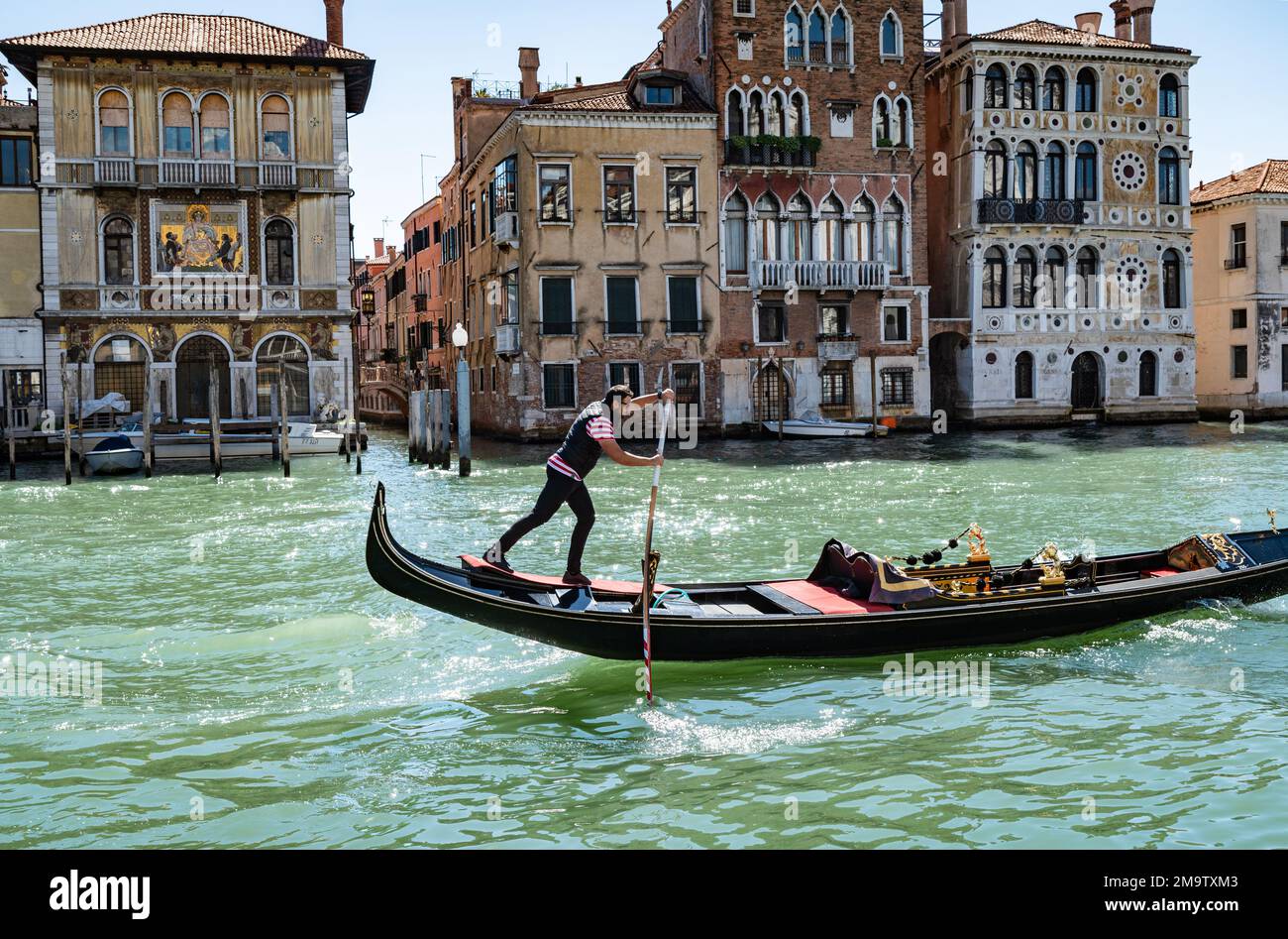 Ein Gondoliere paddelt mit seiner leeren Gondel durch die Gewässer des Canale Grande. Stockfoto