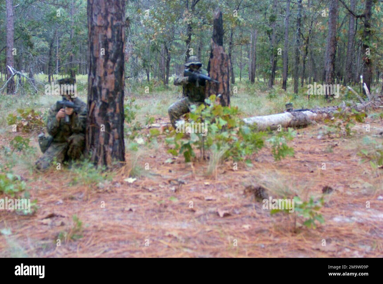 MARINES des US Marine Corps (USMC), bewaffnet mit 5,56mm M16A2-Gewehren, nehmen an Feldübungen während des ÜBUNGSLAUFS in Fort Bragg, North Carolina (NC) Teil. (Unterdurchschnittliches Bild). Betreff Betrieb/Serie: ROLLING THUNDER 2003 Base: Fort Bragg Bundesstaat: North Carolina (NC) Land: Vereinigte Staaten von Amerika (USA) Stockfoto