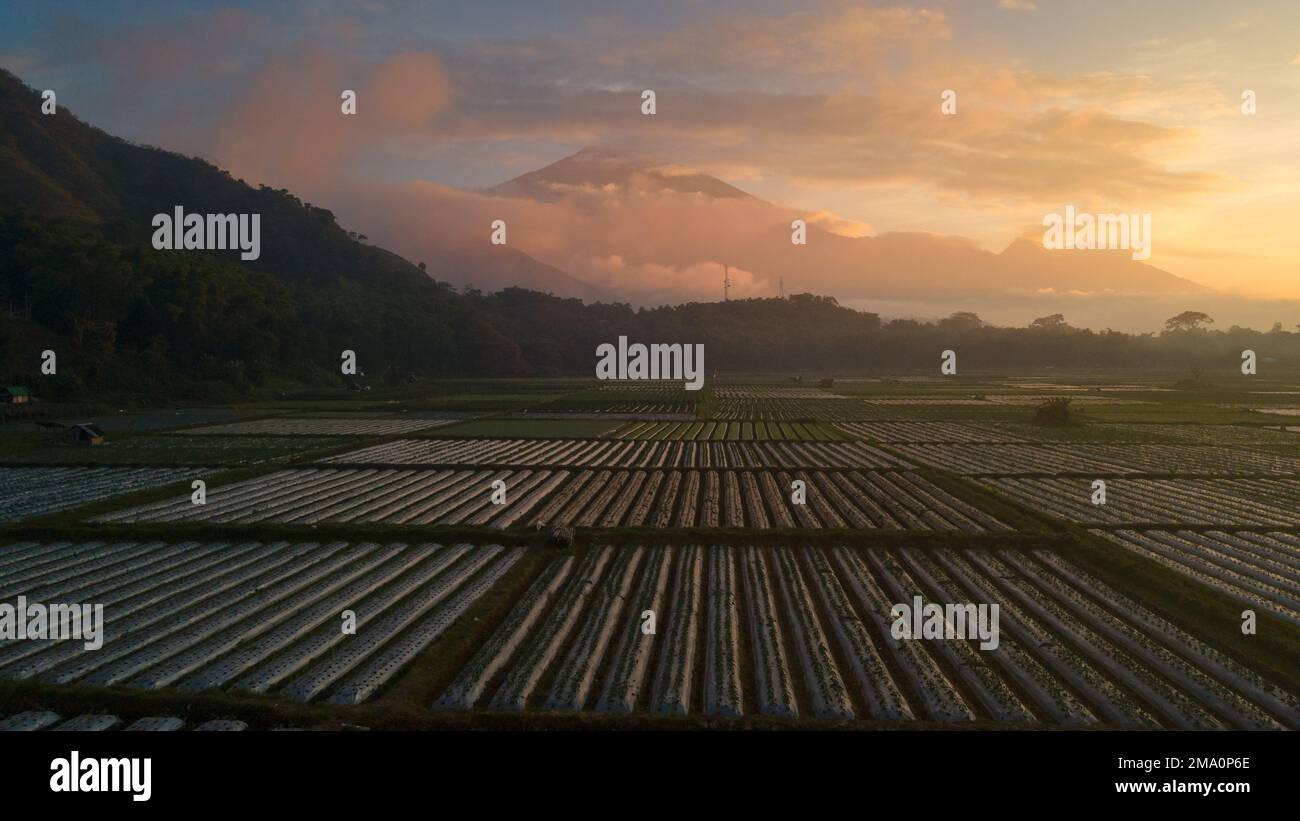 Luftaufnahme einiger landwirtschaftlicher Felder in Sembalun. Sembalun liegt am Hang des Berges Rinjani und ist von wunderschönen grünen Bergen umgeben Stockfoto