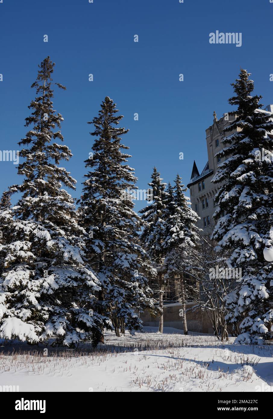 Rundfahrt durch die Innenstadt von Ottawa nach einem Schneefall. Stockfoto