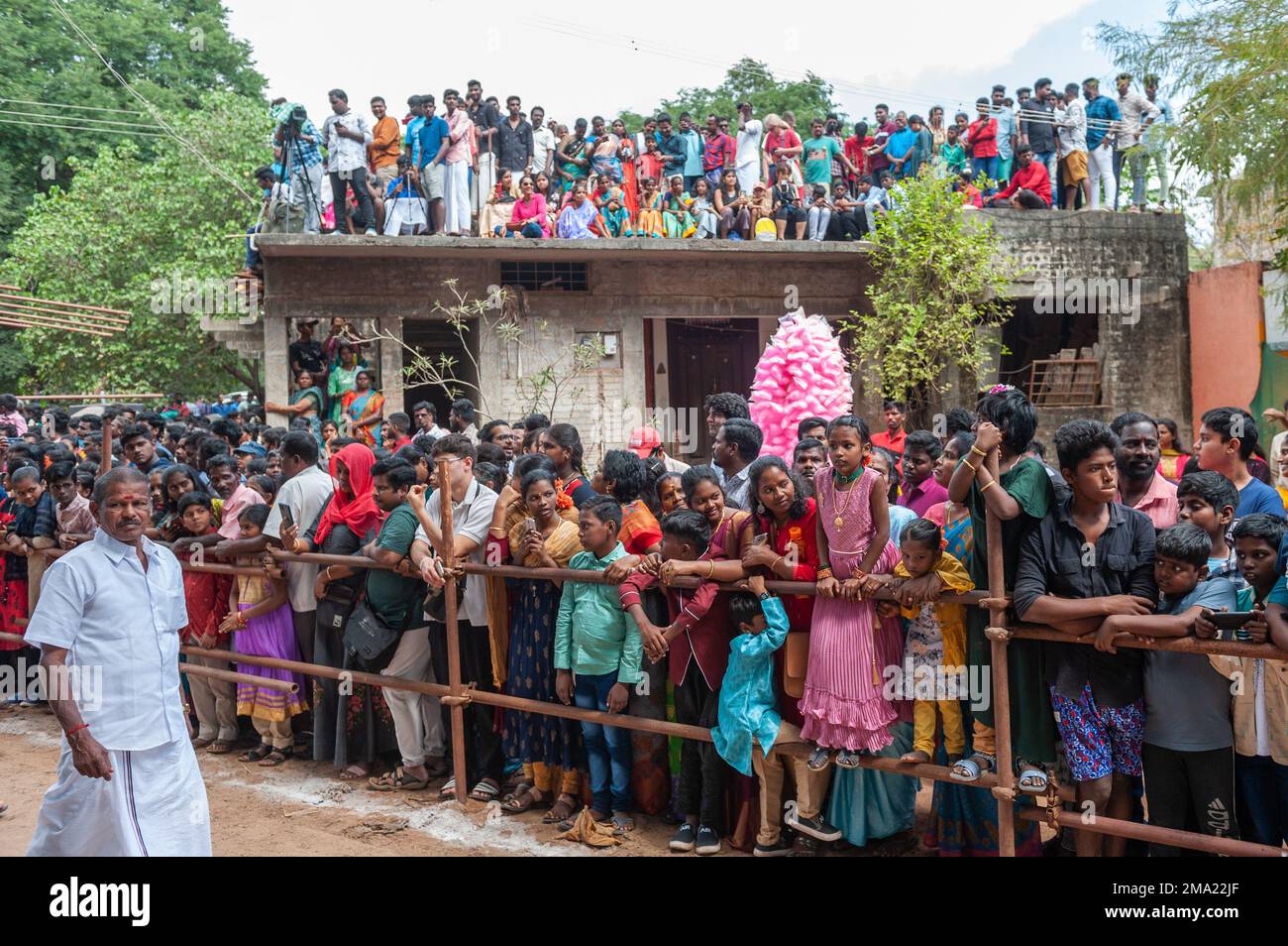 Kuilapalayam, Indien - 17. Januar 2023: Pongal Festival. Das Publikum wartet auf die Parade und das Rennen. Stockfoto