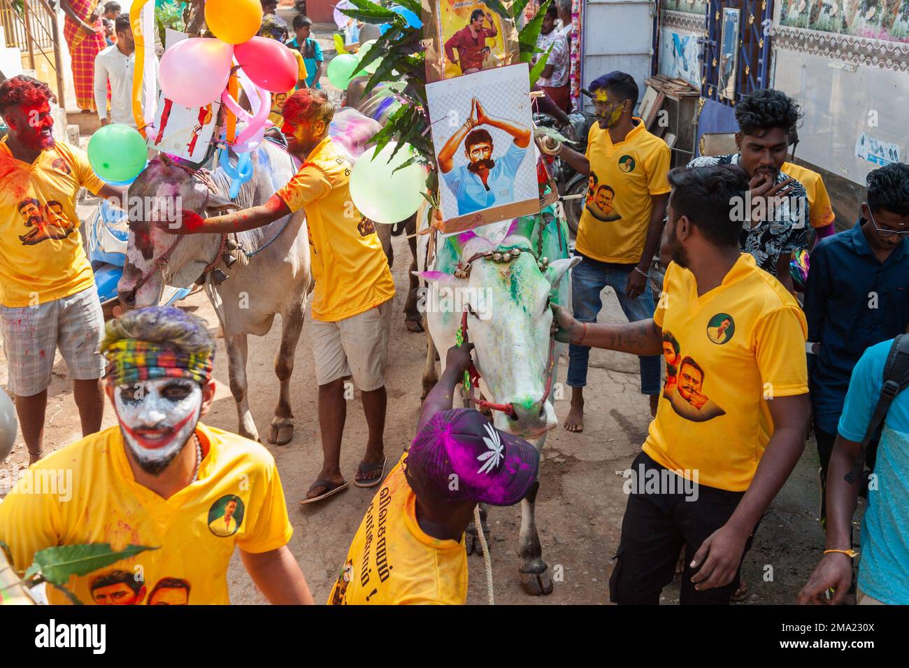 Kuilapalayam, Indien - 17. Januar 2023: Pongal Festival. Die Parade im Dorf vor dem Kuhrennen. Stockfoto