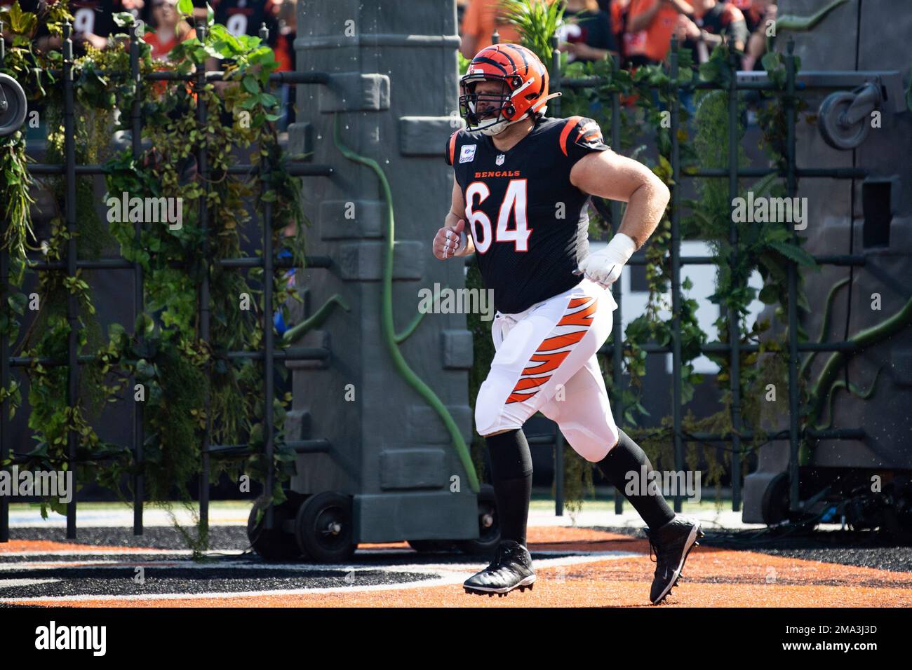 Cincinnati Bengals center Ted Karras (64) runs onto the field before an NFL  divisional round playoff football game Sunday, Jan. 22, 2023, in Orchard  Park, NY. (AP Photo/Matt Durisko Stock Photo - Alamy