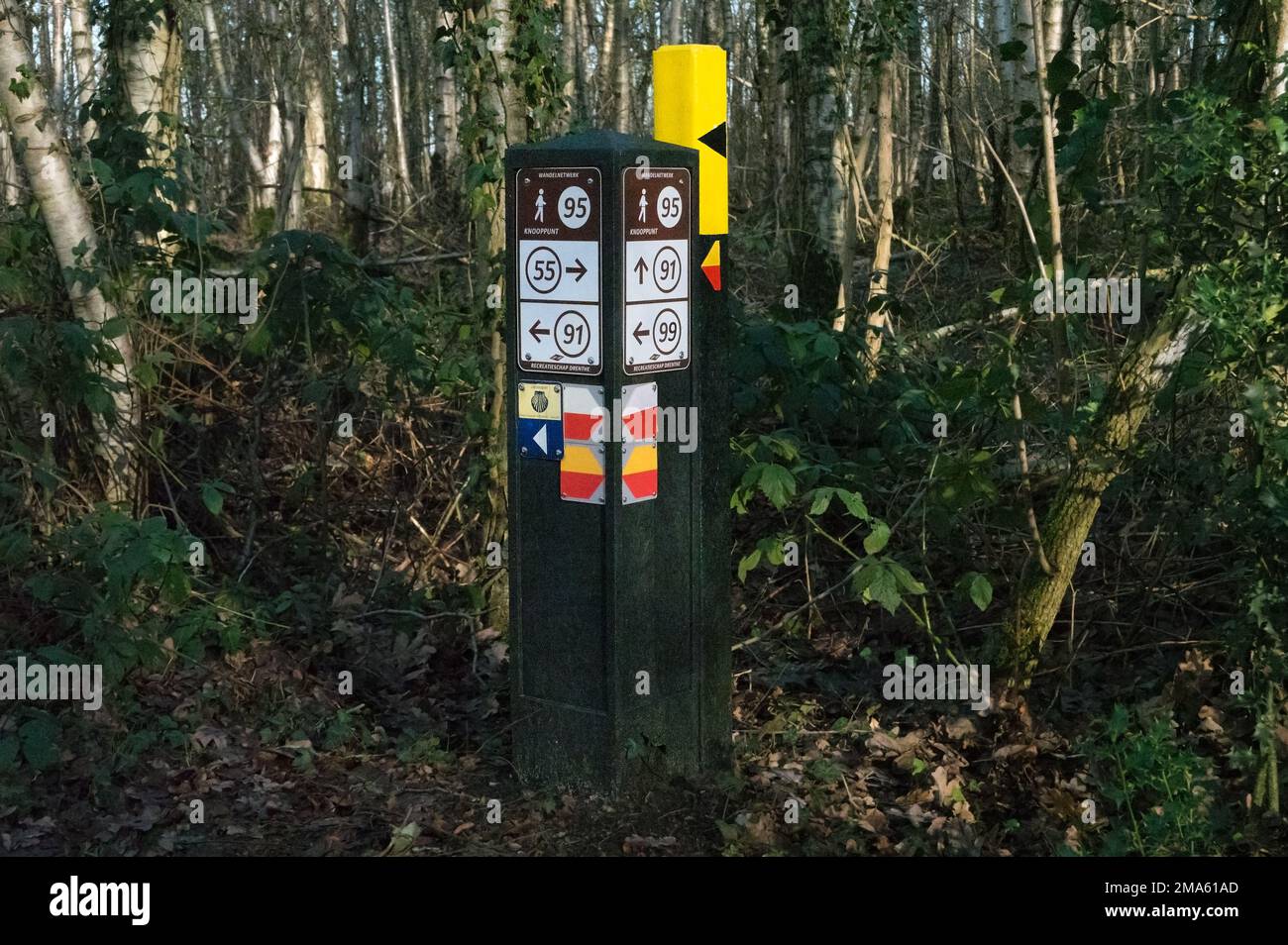 Übermäßige Markierungen und Wegweiser auf einem Wanderweg durch einen Wald Stockfoto