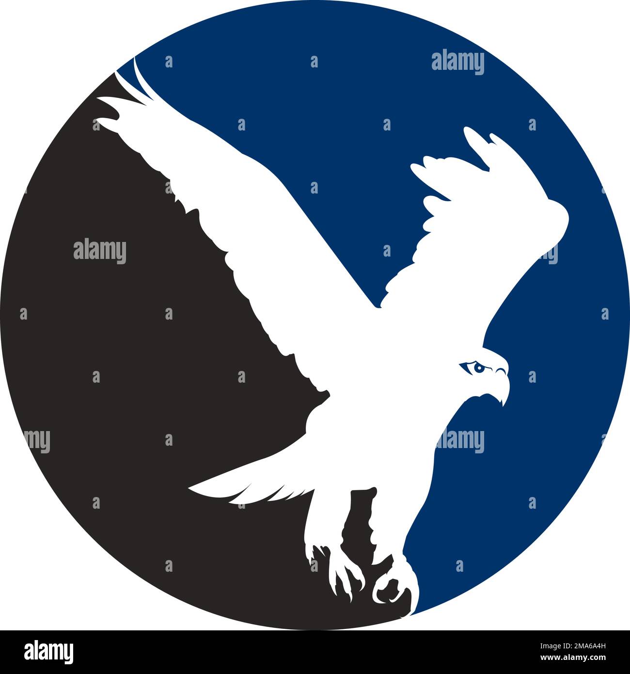 Eagle Icon Vector Illustration Vorlage Logo Design Stock Vektor