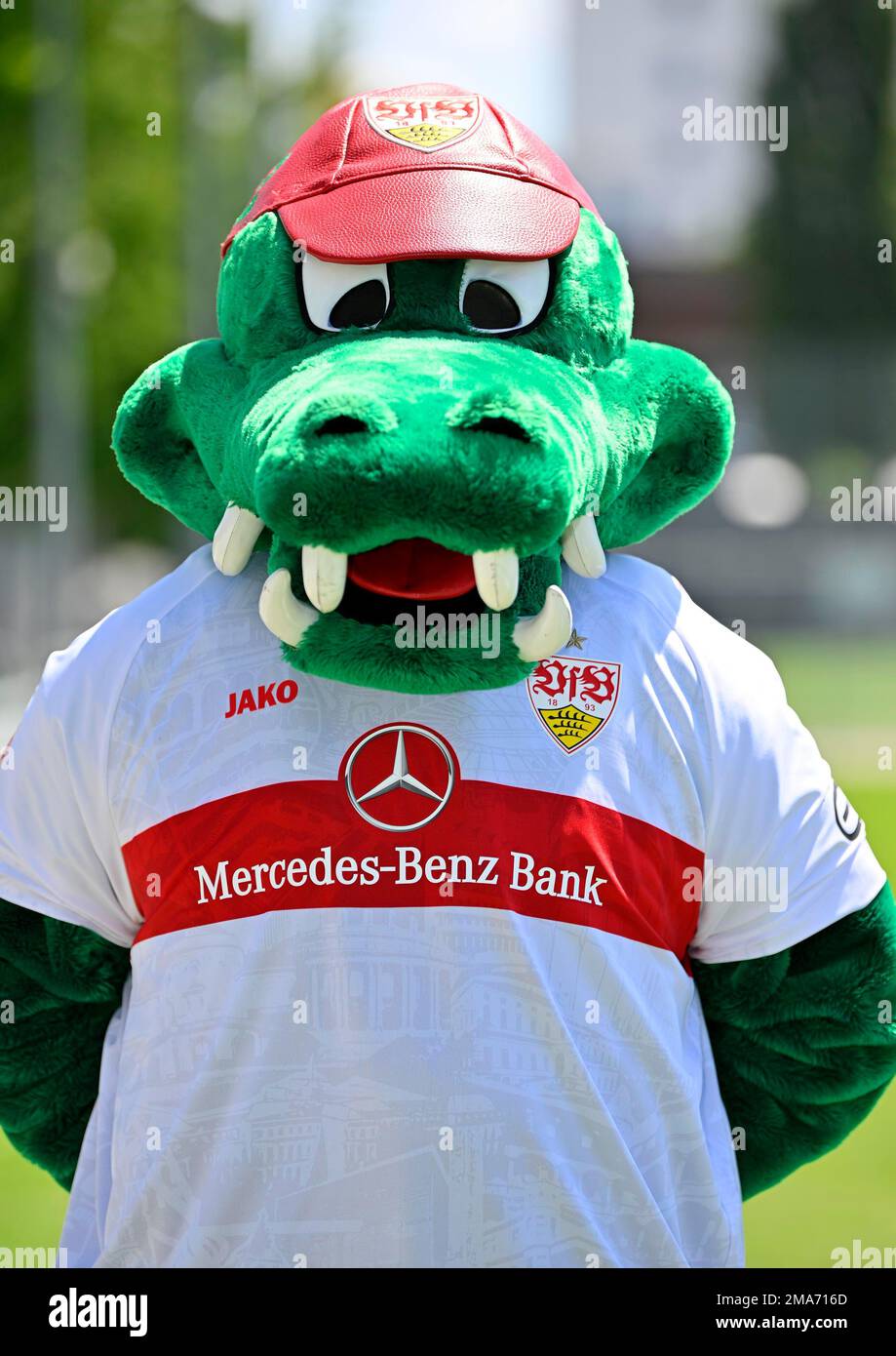 Mascot Fritzle VfB Stuttgart Portrait Termin VfB Stuttgart 2022 2023 Lizenzierter Spieler Fußball 1. Bundesliga Männer GER Stuttgart 05. 07. 2022 Stockfoto