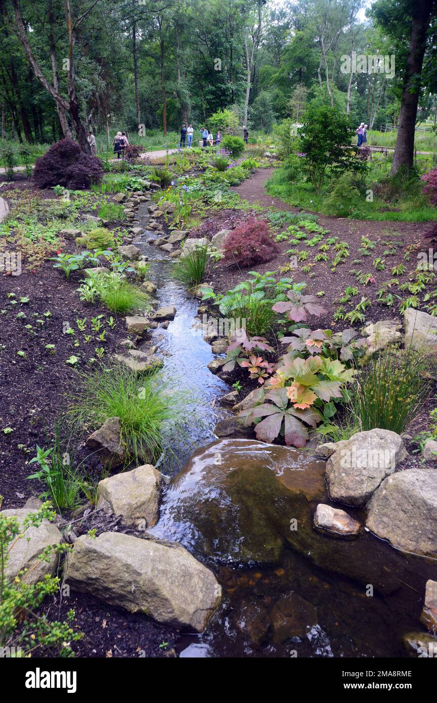 Menschen stehen und gehen im Chinese Streamside Garden im RHS Garden Bridgewater, Worsley, Greater Manchester, Großbritannien. Stockfoto