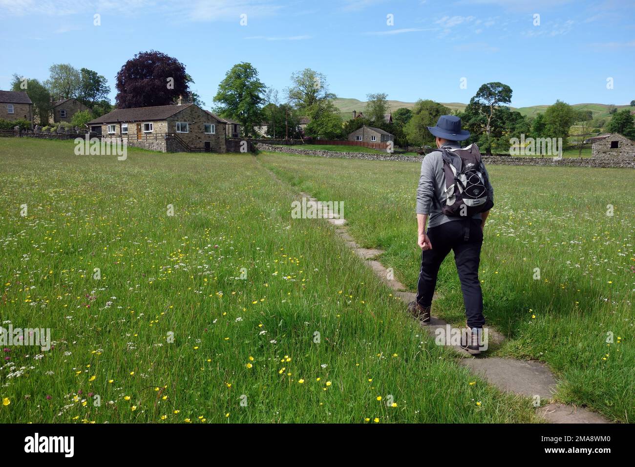 Mann Walking (Hiker) in einem Wild Flower Meadow auf dem asphaltierten Pfad auf dem Pennine Way in Hawes Wensleydale, Yorkshire Dales National Park, England, Großbritannien. Stockfoto
