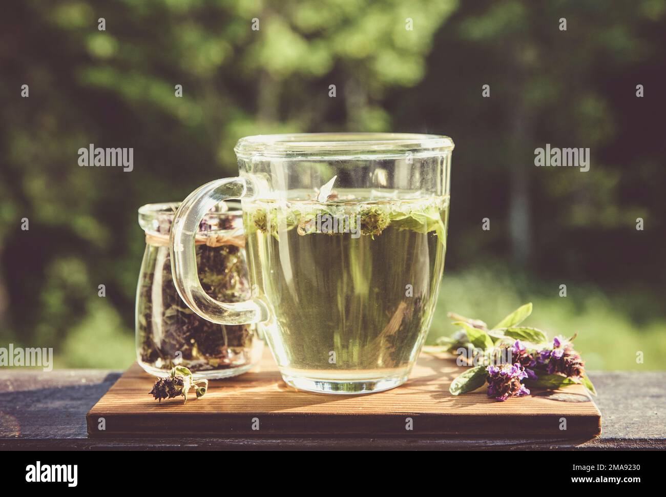 Prunella vulgaris (bekannt als gemeinsame Selbstheilung, Heilung-alle, Wundkraut, Herz-der-Erde, Zimmermannskraut, Braunwürz und blaue Locken Kräutertee mit trockenen Stockfoto