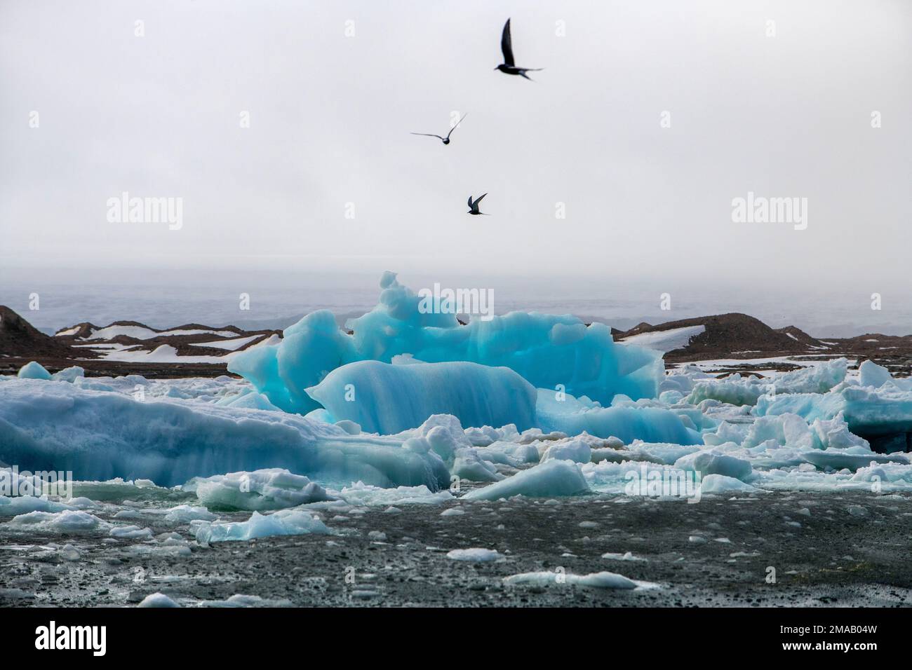 Schöne blaue Eisberge in Storoya, Spitzbergen. Expeditions-Kreuzfahrtschiff Greg Mortimer in Svalbard-Archipel, Nordnorwegen. Storøya ist eine Insel im S Stockfoto