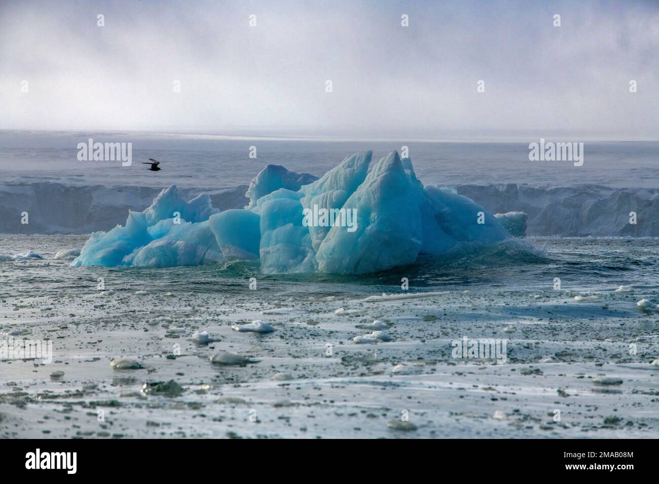 Schöne blaue Eisberge in Storoya, Spitzbergen. Expeditions-Kreuzfahrtschiff Greg Mortimer in Svalbard-Archipel, Nordnorwegen. Storøya ist eine Insel im S Stockfoto