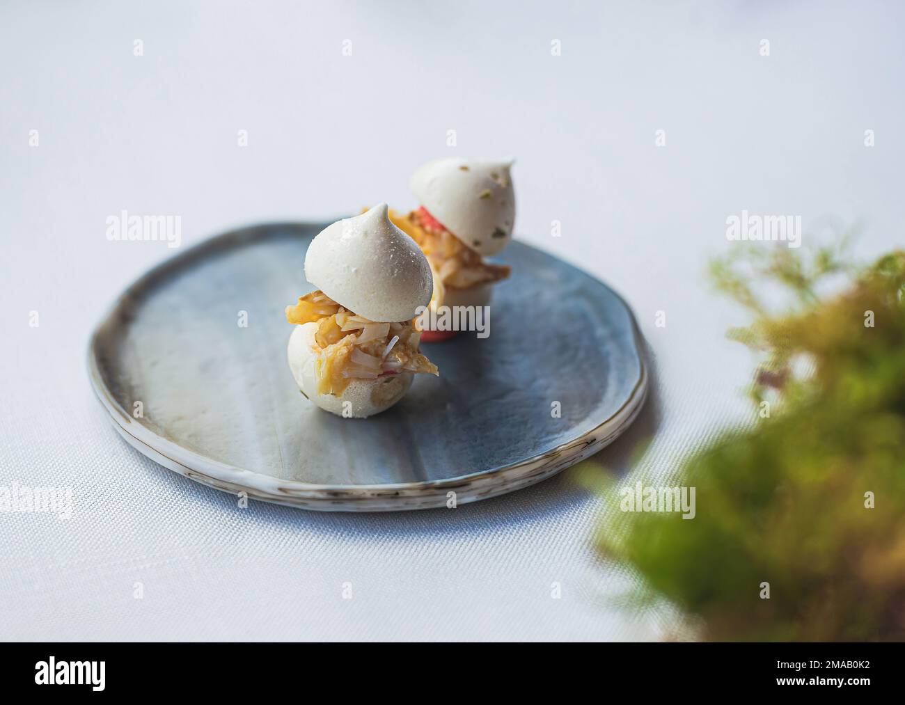Kleine Vorspeise mit Pilzen der Haute Cuisine. Gourmet-Food-Konzept. Stockfoto