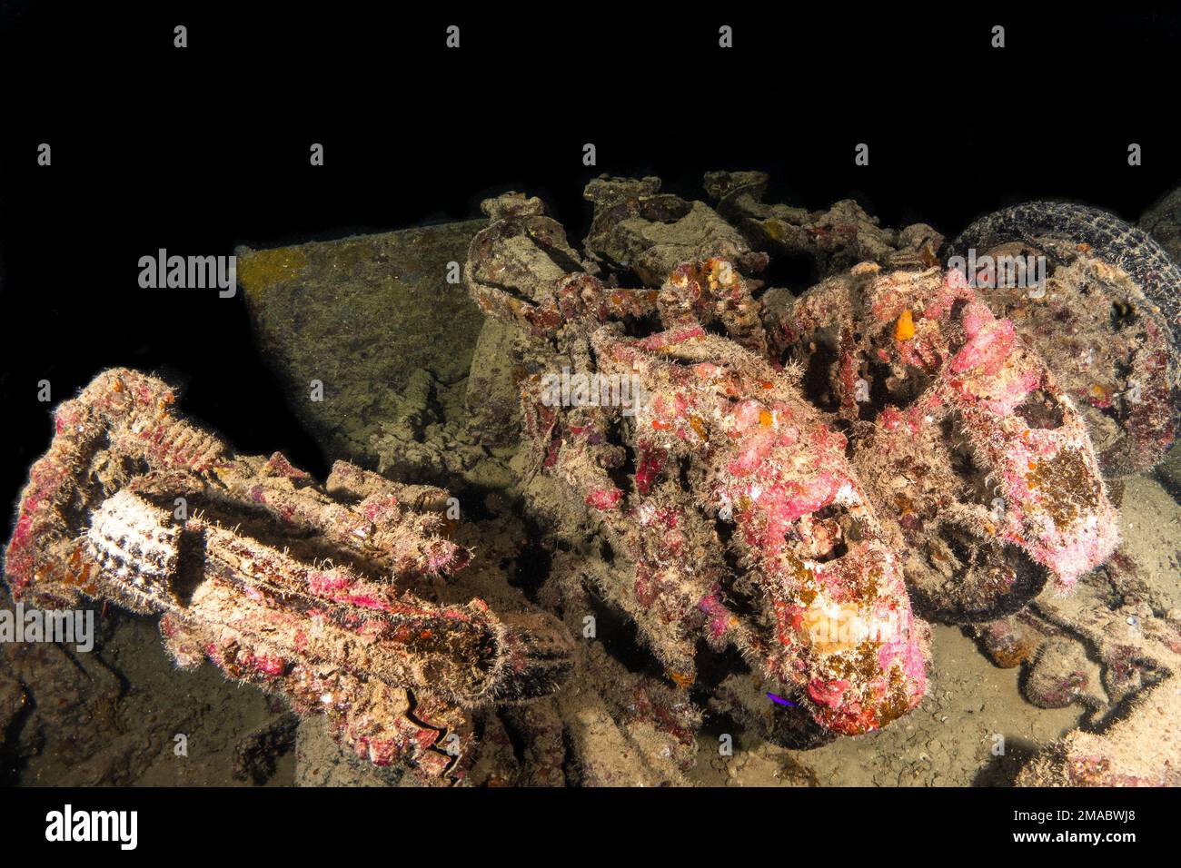 Thistlegorm Norton 16H und BSA Motorräder, in der Frachthalle, einige liegen in Bedford Trucks zurück, das Rote Meer Ägypten ist das beste Wrack der Welt Stockfoto