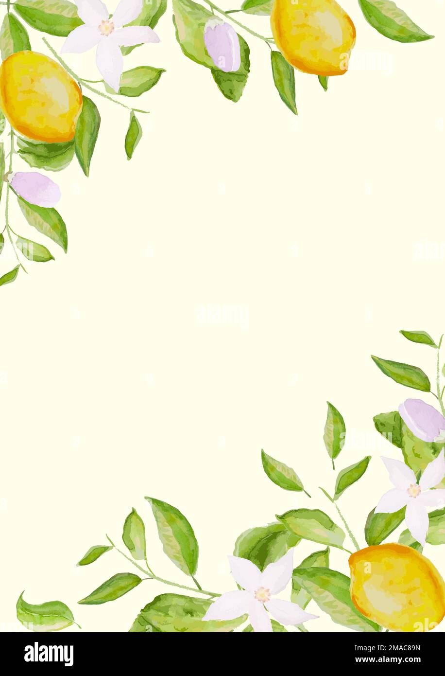 Kartenschablone, Rahmen aus handgezogenen, wässrigen, blühenden Zitronenbäumen, Blumen und Zitronen auf weißem Hintergrund Stock Vektor