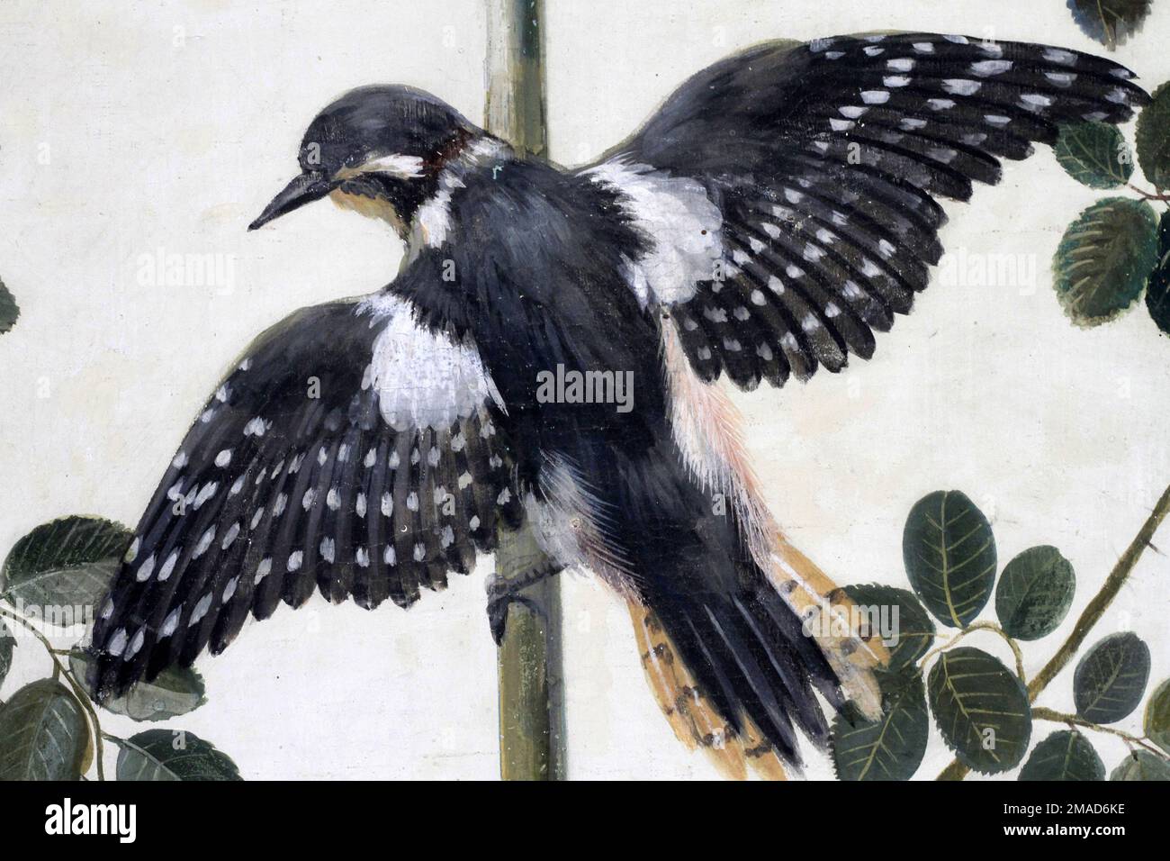 Hirondelle. Untergang. Loges de Raphäel. Musée de l'Ermitage. Saint-pétersbourg. Russie! / Vogel. Malerei. Die Loggie von Raphael. Eremitage-Museum. Sai Stockfoto