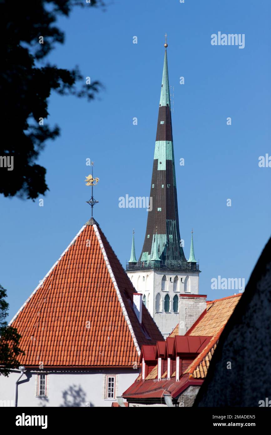 Estland, Tallinn, St. Olav Kirchturm und das alte Tallinn. Stockfoto