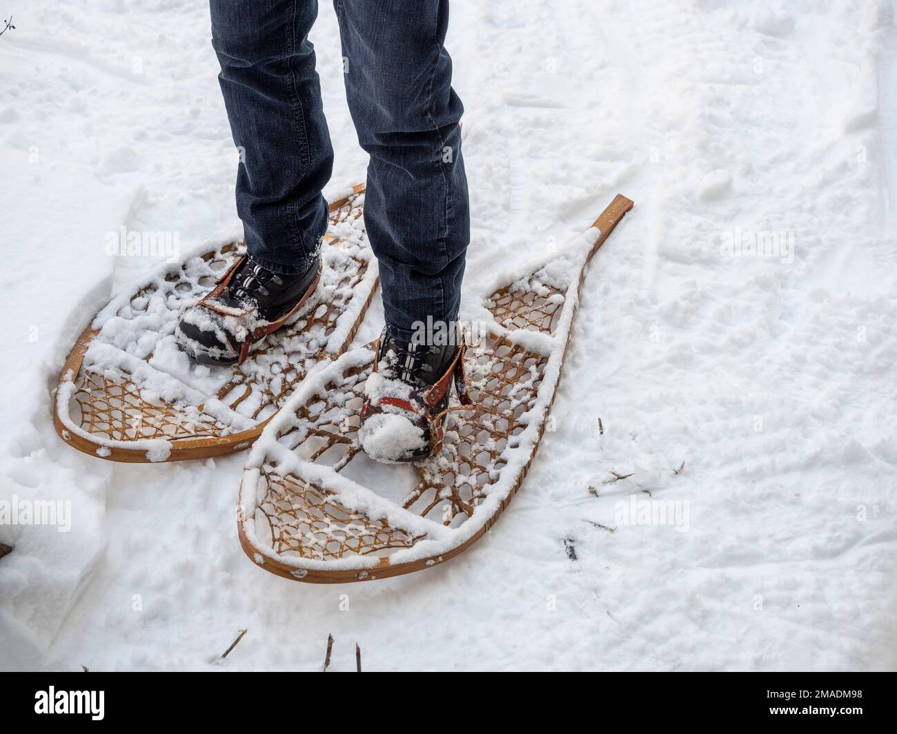 Auf Schneeschuhen: Ein jean-verkleideter Mann steht im Schnee auf einem Paar traditioneller Schneeschuhe, die an seine Stiefel geknickt sind. Stockfoto